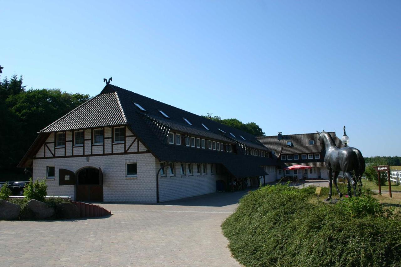 STöRTEBEKER APPARTEMENTS - STöRTEBEKER PFERDEHOF Ralswiek Exteriör bild